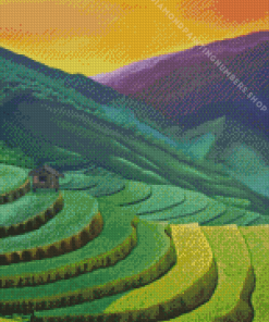 Sunset Rice Terraces Landscape Diamond Painting