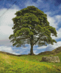 Sycamore Gap Diamond Painting