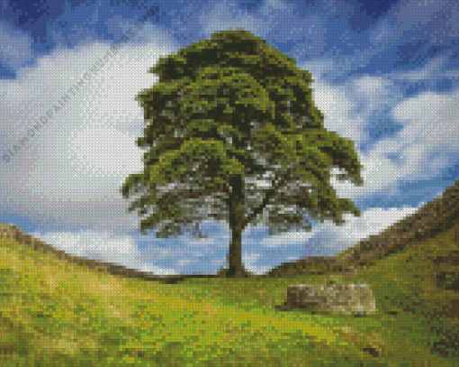 Sycamore Gap Diamond Painting