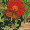 Tithonia Rotundifolia Diamond Painting