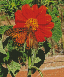 Tithonia Rotundifolia Diamond Painting