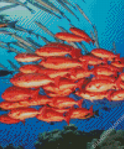 Tropical Red Snapper Fish Diamond Painting