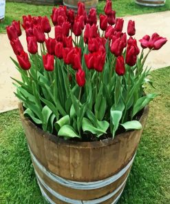 Tulips in Barrel Diamond Painting