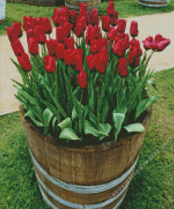 Tulips in Barrel Diamond Painting