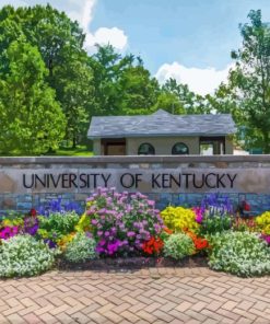 University of Kentucky Diamond Painting