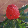 Waratah Telopea Speciosissima Diamond Painting