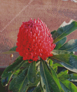 Waratah Telopea Speciosissima Diamond Painting