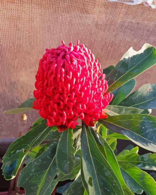 Waratah Telopea Speciosissima Diamond Painting