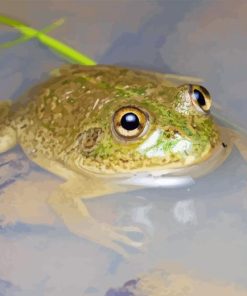 Water Holding Frog Diamond Painting