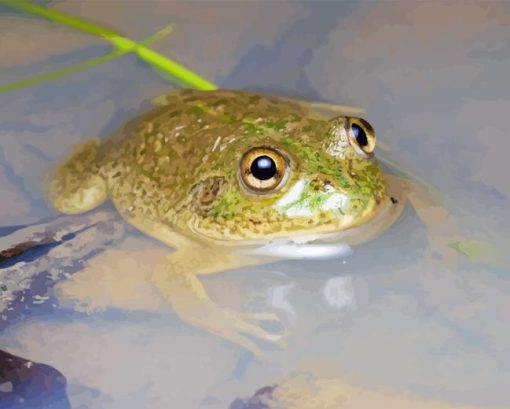 Water Holding Frog Diamond Painting