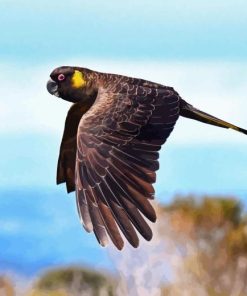 Yellow Tailed Black Cockatoo Diamond Painting