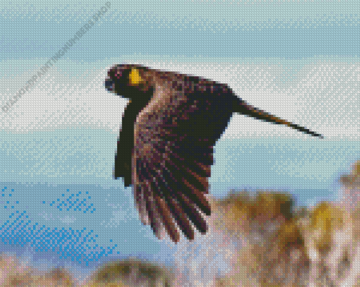 Yellow Tailed Black Cockatoo Diamond Painting