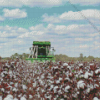 Cotton Harvester Diamond Painting