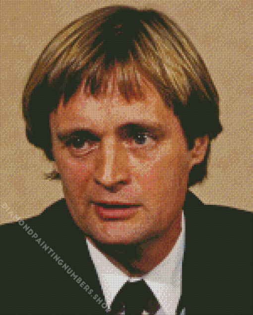 David McCallum Diamond Painting