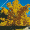 Ginkgo Tree Diamond Painting