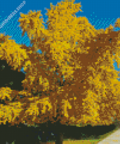 Ginkgo Tree Diamond Painting