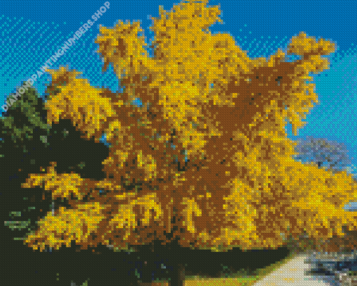 Ginkgo Tree Diamond Painting