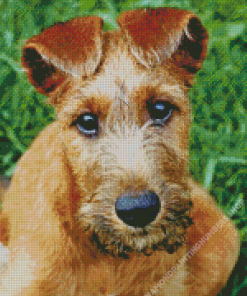 Irish Terrier Diamond Painting