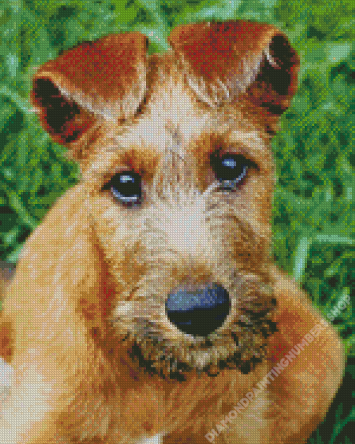 Irish Terrier Diamond Painting