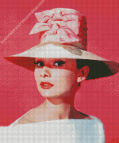 Lady In A Pink Hat Diamond Painting