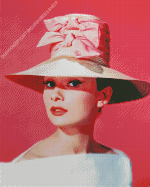 Lady In A Pink Hat Diamond Painting