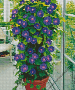 Morning Glory Plant Diamond by numbers