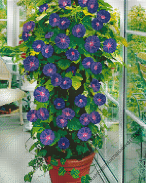 Morning Glory Plant Diamond by numbers