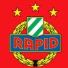 Rapid Wien Diamond Painting