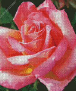 Rosa Peace Diamond Painting