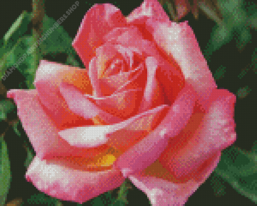 Rosa Peace Diamond Painting