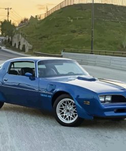 1978 Trans Am Diamond Painting