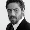 Benicio Del Toro Diamond Painting