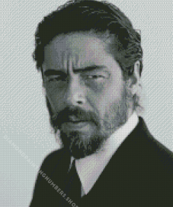 Benicio Del Toro Diamond Painting