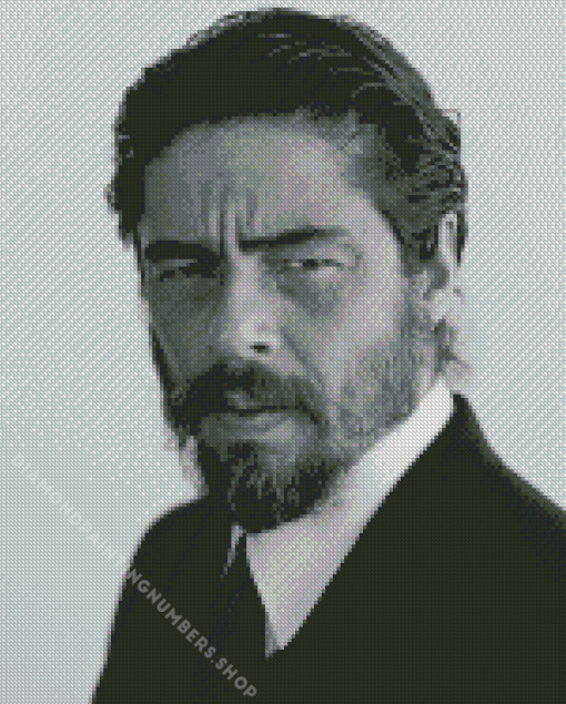 Benicio Del Toro Diamond Painting