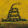 Gadsden Flag Diamond Painting