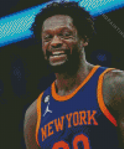 Julius Randle Diamond Painting