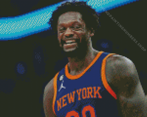 Julius Randle Diamond Painting