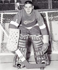 Terry Sawchuk Diamond Painting