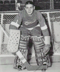 Terry Sawchuk Diamond Painting