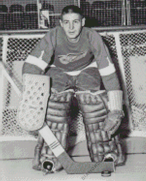 Terry Sawchuk Diamond Painting