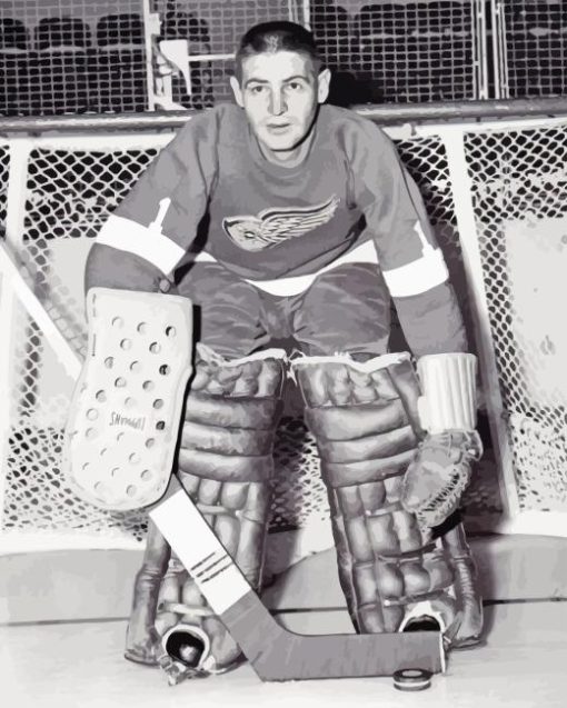 Terry Sawchuk Diamond Painting