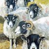 Blackface Sheep Diamond Painting