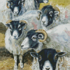 Blackface Sheep Diamond Painting