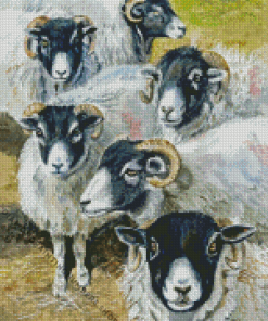 Blackface Sheep Diamond Painting