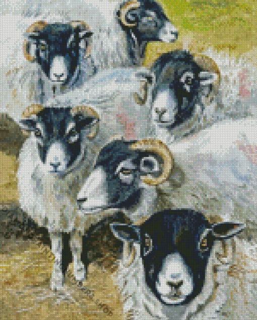 Blackface Sheep Diamond Painting