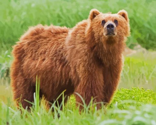 Kodiak Bear Diamond Painting