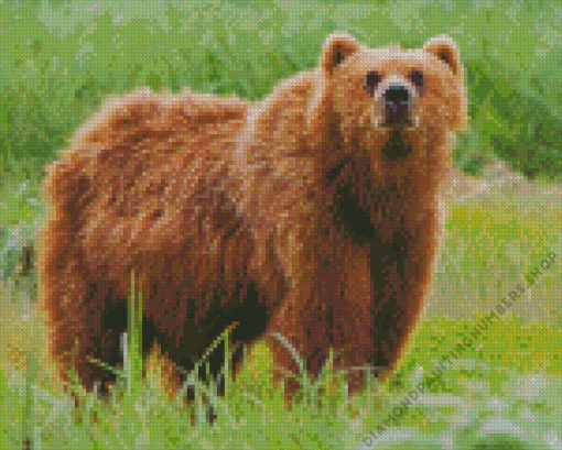 Kodiak Bear Diamond Painting