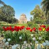 Lodi Garden Diamond by numbers