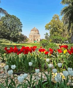 Lodi Garden Diamond by numbers