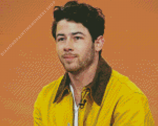 Nick Jonas Diamond art